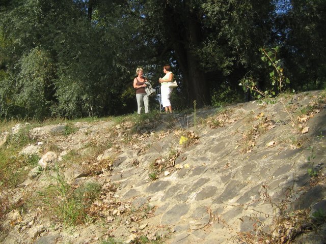 finnek 2011 012